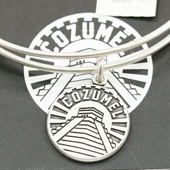 Alex and Ani Cozumel Charm Bangle - Picture 3 of 3